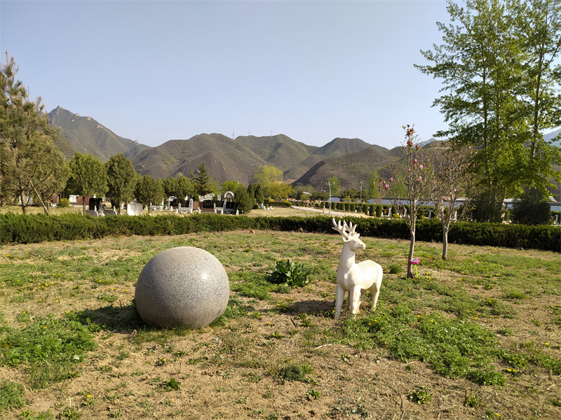 园区山景