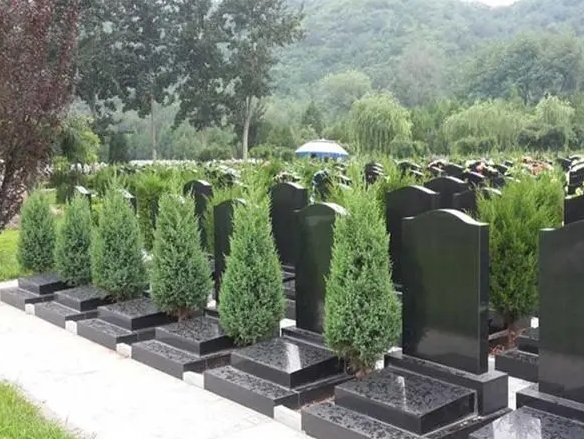昌平凤凰山陵园有生态葬吗?